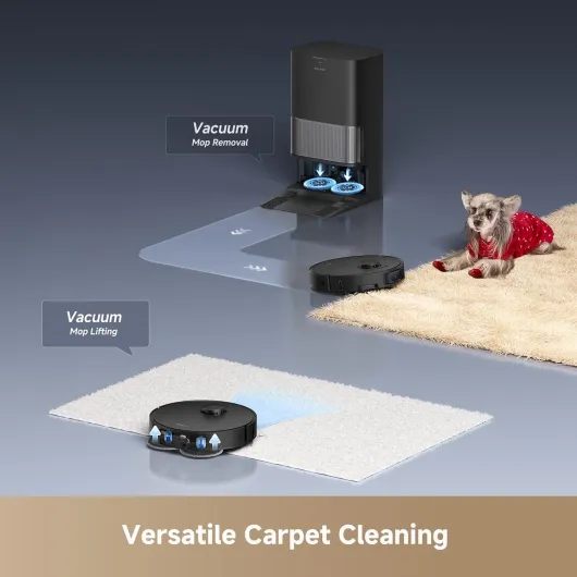 71hT756kBTL._AC_SL1500_