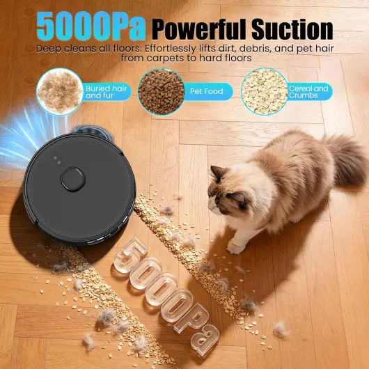 81Ig93Bo38L._AC_SL1500_