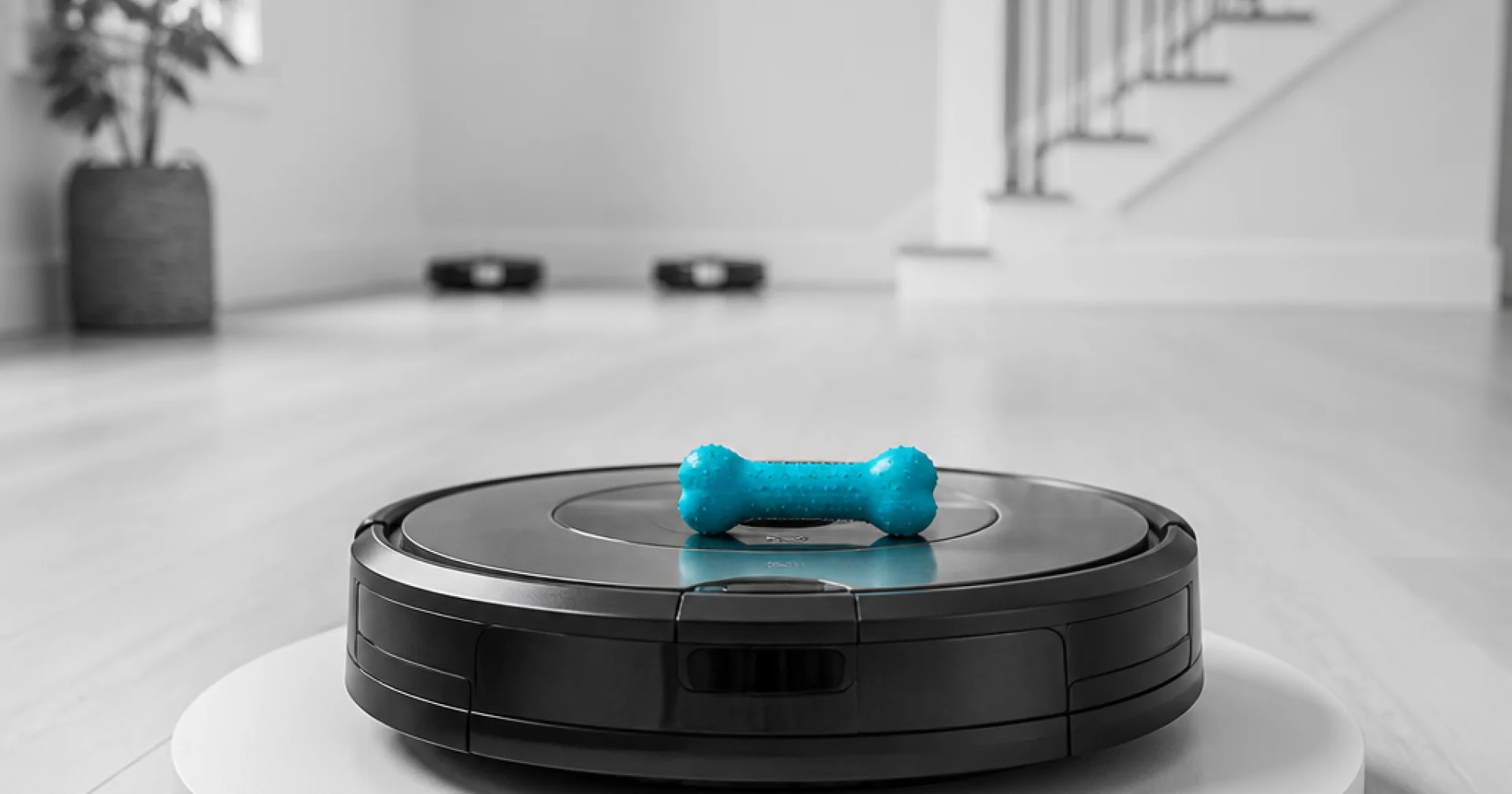 Two cheap robots or one good one: the multi-floor pet home calculation